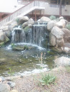 Goldfish Fountain