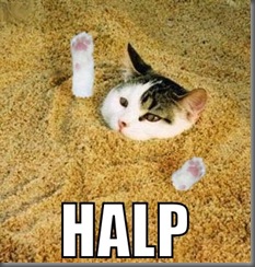 halp