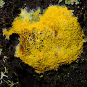 Scrambled egg slime