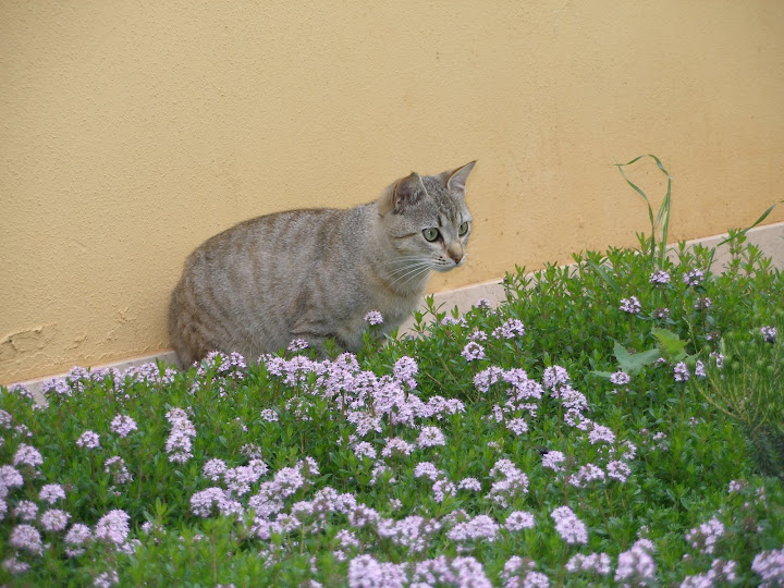 P4080045.JPG
