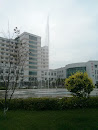盛京医院喷泉