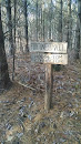 Fortune Middle Trailhead