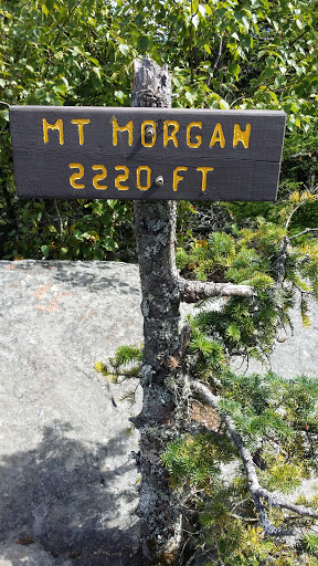 Mt. Morgan Summit