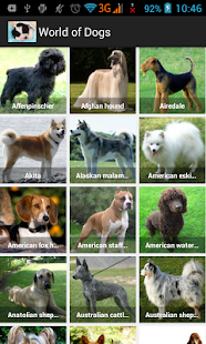 How to get World of Dogs 1.0.1 mod apk for pc