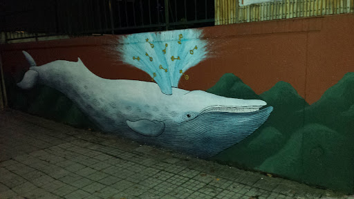 Whale Grafiti