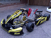 Karting Para Grandes Y Chicos De Competicion Hoby