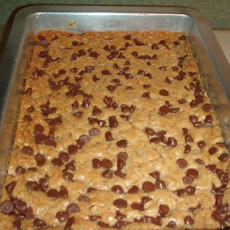 Chocolate Oatmeal Brownies