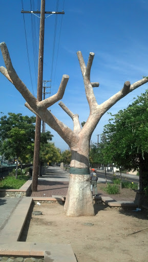 Highland Park Station Tree Sculpture