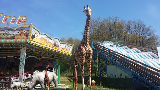 Parc Saint Paul, La Girafe
