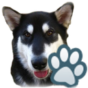 Dog Breeds mobile app icon