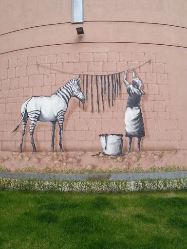 Zebra Washing
