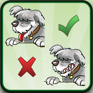 Find ten differences animals.apk 1.5