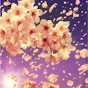 3D Sakura Live Wallpaper HD mobile app icon