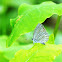 Spring Azure