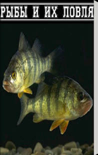 How to download Рыбы и их ловля lastet apk for bluestacks