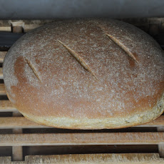 Ricotta Whey and Barley Bread