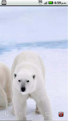 Save the Arctic LWP FREE