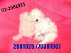 Poodle Toy  Micro Toy