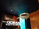 Ocean Voyager Whale Shark Sculpture