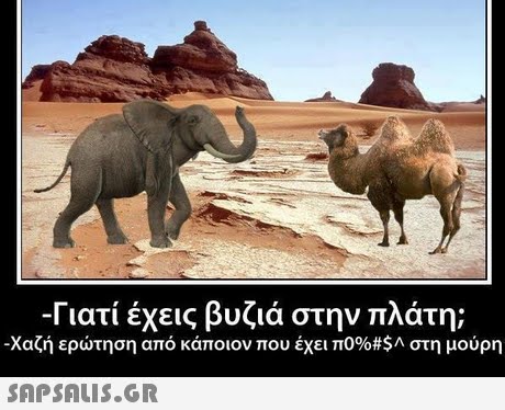 -Γιατί έχεις βυζιά στην πλάτη; -χαζή ερώτηση από κάποιον που έχει π096#$Α στη μούρη 