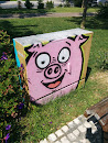 Pink Pig Box