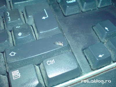 tastatura Bâz