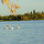 Wildlife of Manitoba