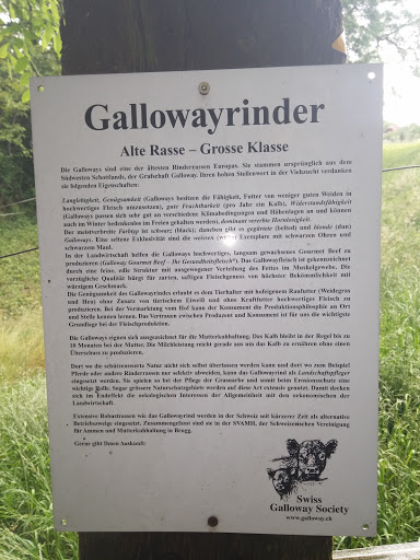 Gallowayrinder