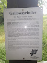 Gallowayrinder