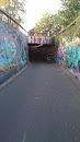 Tunnel of Paint