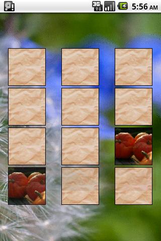 Card Match Free Memory Game