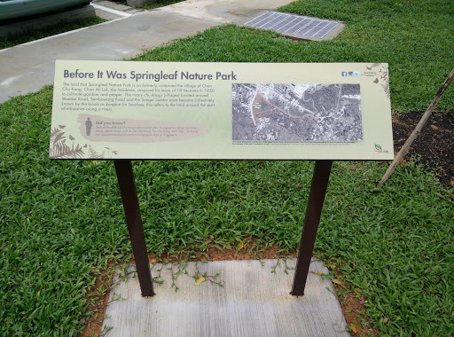History of Springleaf Nature Park 