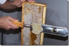 Honey Frame