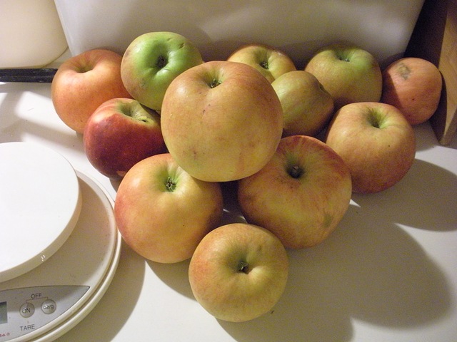 [Applesauce 001[3].jpg]