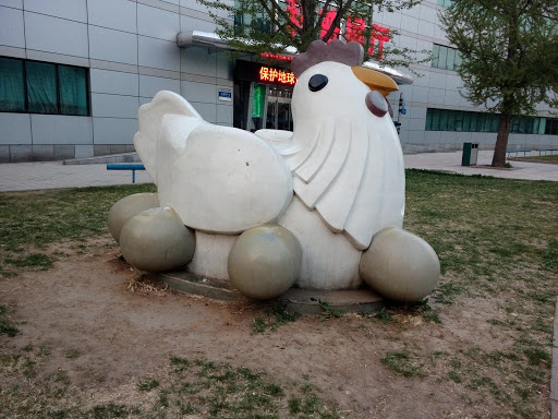 科普展厅母鸡一只