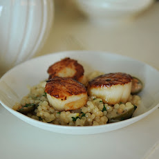 Israeli Couscous with Roasted Lemons & Capers topped with Seared Scallops & a Lemon Creme Fraiche Drizzle