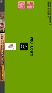 How to install Naughty Cat 1.1.4 apk for laptop