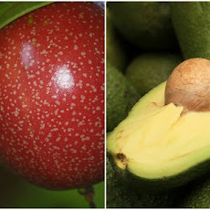 Avocado and Passionfruit Sorbet