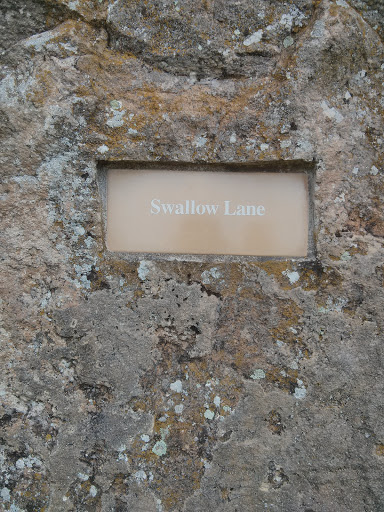 Katheryn Albertson Park - Swallow Lane