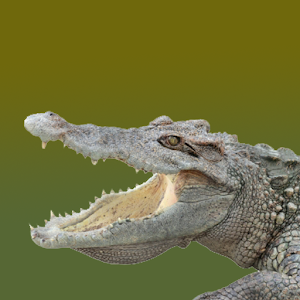 Crocbite FREE.apk 1.0.4