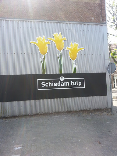 Schiedam Tulp