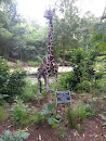 Recycled Life Giraffe Art