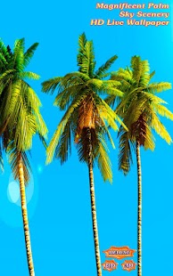 How to install Magnificent Palm Sky Scenery patch 1.4.9 apk for android
