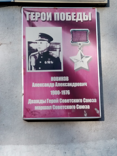 Novikov Plaque