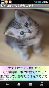 How to download 癒しのニャンコ lastet apk for laptop