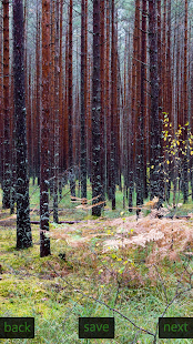 How to mod Inspic Forest Wallpapers HD 2.0 apk for pc