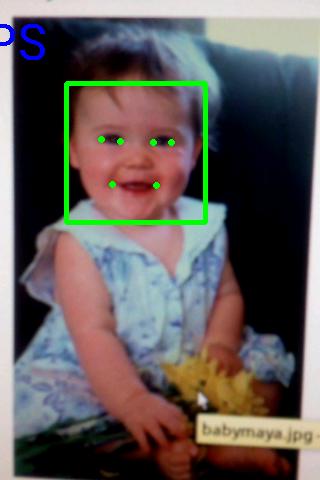 Face Feature Detector