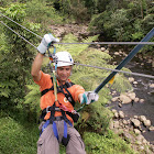 Jonathan Sequeira