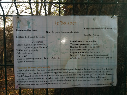 La Rochelle - Le Baudet