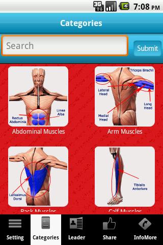 3D Muscle System
